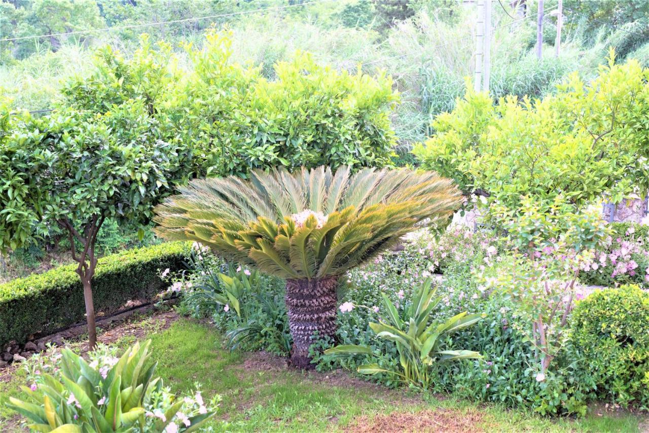 Villa La Bella - Luxury House Close To Corfu Town Potamos (Corfu)