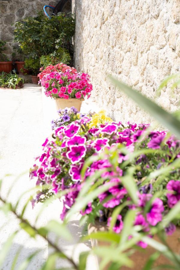 Vila La Bella - Luxury House Close To Corfu Town